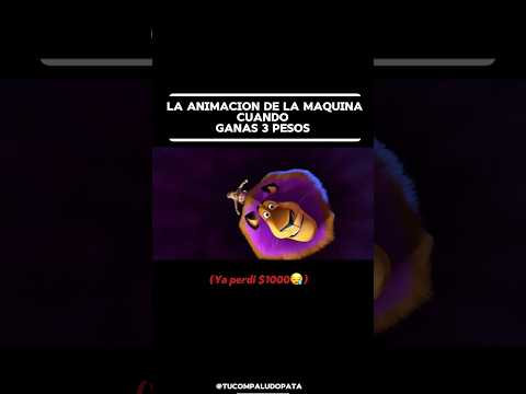 EN VIVO: LOS PRIMOS | CALIENTE TV 🔴