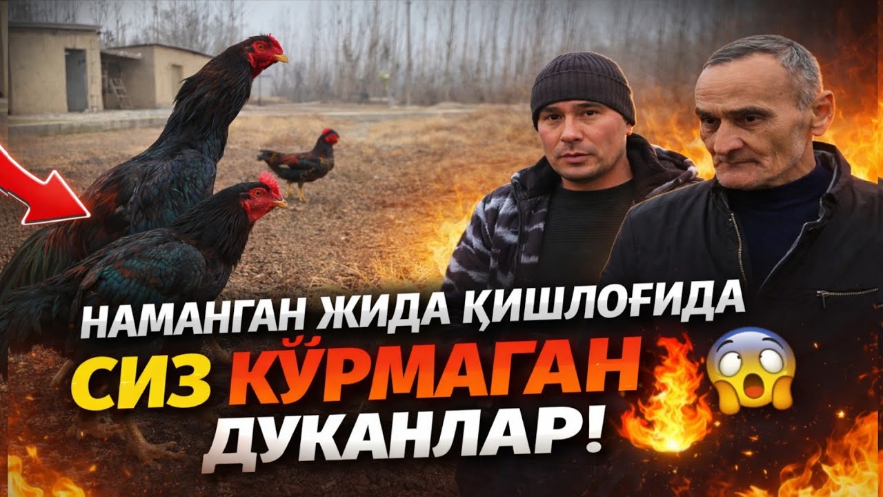 ПАРВОЗЛАР УЧУН ЯНГИЛИК ДАХШАТЛИ ХОЛАТ 10.ДАН ОШИК ДАКАНЛАР ЭНДИ СОТУВДА 