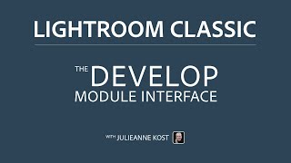 An Overview of the Develop Module in Lightroom Classic Profile