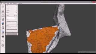 MeshMixer - reduce geometry