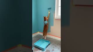 The Purrfect Painter 🎨