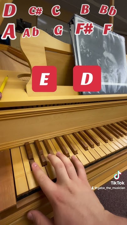 FOR MORE INFO SEE MY COMMENT: #music #harpsichord #classicalmusic #