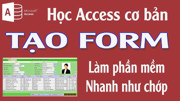 Form nhập liệu trong Access | Học Access cơ bản | NT Software
