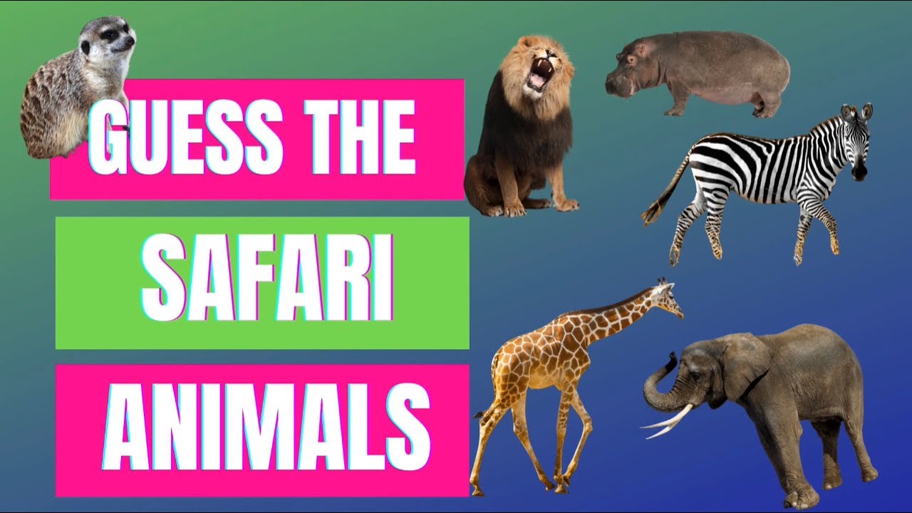 safari animals noises