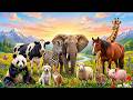 Learn Farm Animals for Kids | Cow, Sheep, Horse, Chicken