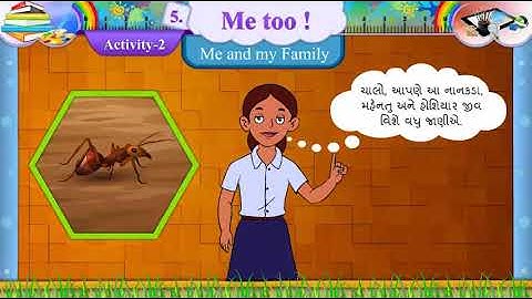 Std 7 English SAM 2  unit 5 Me too !