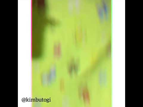 KimBuTogi - Musical.ly (Karma ısa bitch)