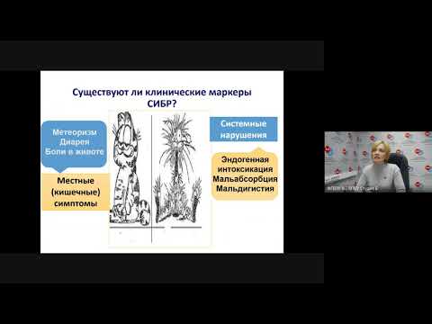 Дисбактериоз. Синдром избыточного бактериального роста. Часть 2. Доцент Кисельникова О.В.