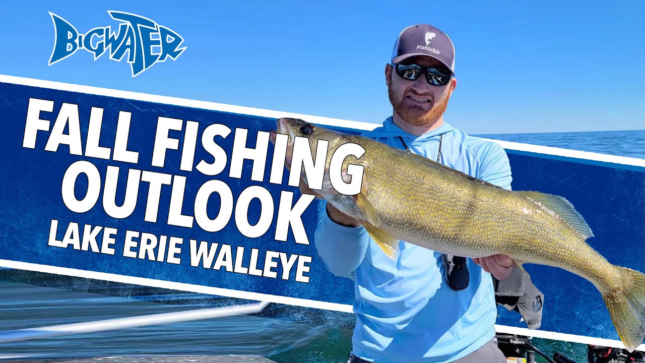 Lake Erie Walleye Fishing Report - Oct 14th, 2022 