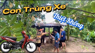 Phản Ứng Hoài Phong Khi Hay Tin Trúng Xe Và Cái Kết