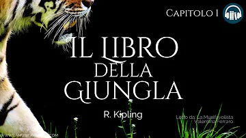 IL LIBRO DELLA GIUNGLA (Capitolo 1) • R.Kipling 🎧 #Audiolibro 📖
