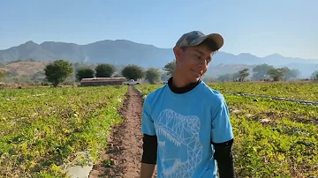 SANDÍAS EN TLAXMALAC GRO. PLATICANDO CON LA GENTE TRABAJADORA QUE DESDE MUY TEMPRANO LLEGÓ AL CORTE.