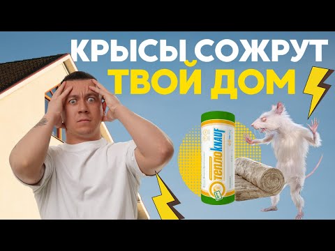 Грызуны не страшны! Утеплитель дома Knauf / Состав, экологичность, усадка, особенности