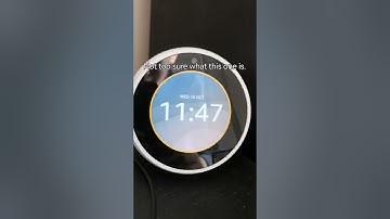 Amazon alexa wifi out compilation