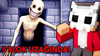 Temu'dan Aldığım Verity Modu (!) | Minecraft