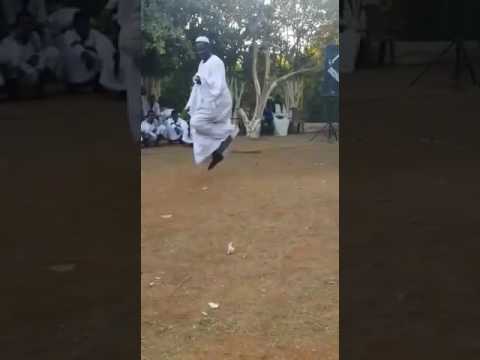 حافظ الباسا  ابداااع  شكرا حفلات السلطان