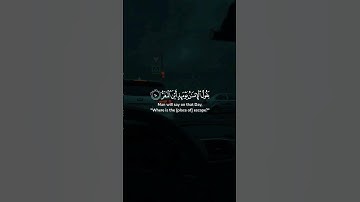 #احمد_النفيس | #سورة_القيامة | #قرآن