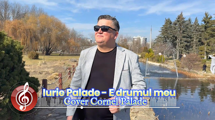 Iurie Palade - E DRUMUL MEU E VIATA MEA! (COVER)