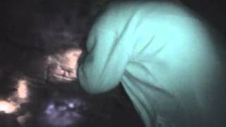 Spirit Clearing in Southampton Vaults