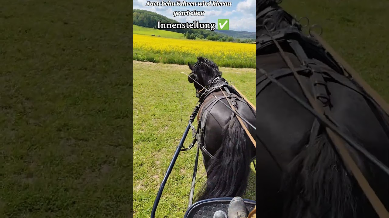 Die Peitsche ersetzt hierbei das Bein 