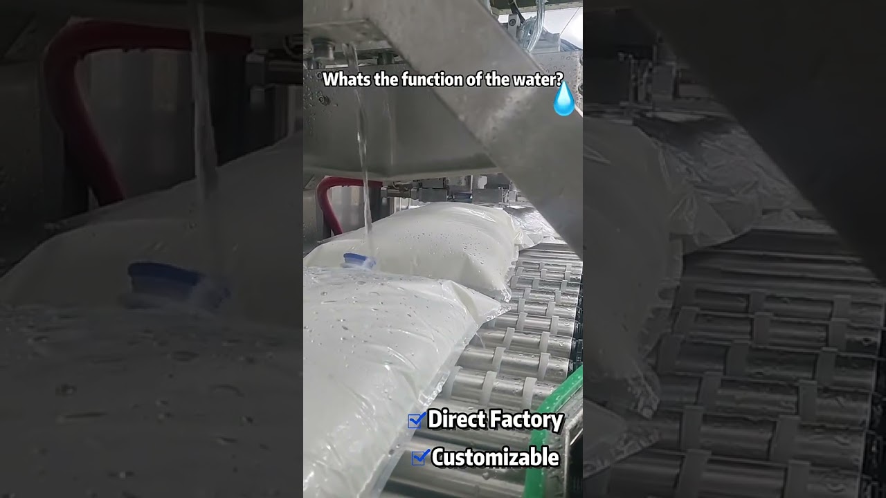 BIB filling capping machine 