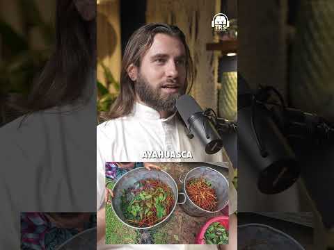 Reality Of Europe – Mental Health, Spirituality And More | Swami Purnachaitanya #shorts