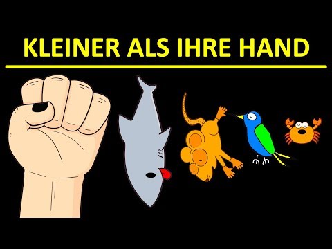 Video: Ein Massives Aussterben Aller Insekten Auf Der Welt Wurde Festgestellt - Alternative Ansicht