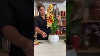 Veja o resultado desse arranjo de orquídeas - Espaço Manix