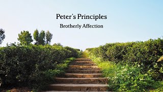 Peter's Principles, Chapter 11: Brotherly affection