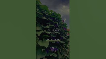 حالات واتس اب تلاوة خاشعه للقارئ طارق محمد #حالاات_واتساب