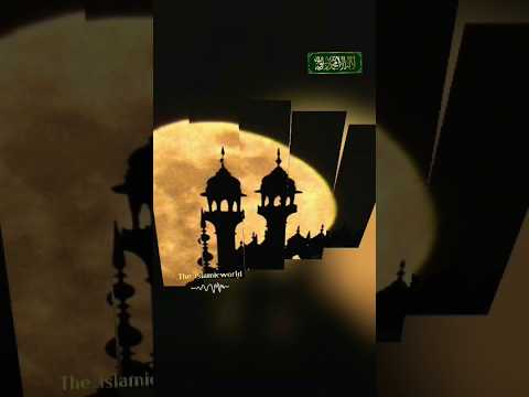 Allah Pak ne hi is universe ko banaya h || #short #shorts #shortfeed #shortsfeed #islam #islamic #n