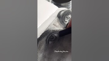 ASMR Charcoal Drawing🔉 #asmr #charcoalart #charcoaldrawing #shortsviral
