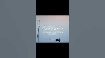 إِنَّ فِي خَلْقِ السَّمَاوَاتِ وَالْأَرْضِ | القارئ عبد الرحمن مسعد