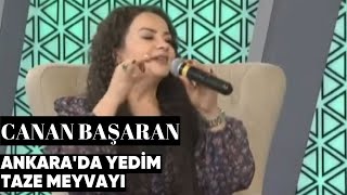 Canan Başaran - Ankara'da Yedim Taze Meyvayı (Canlı Performans)