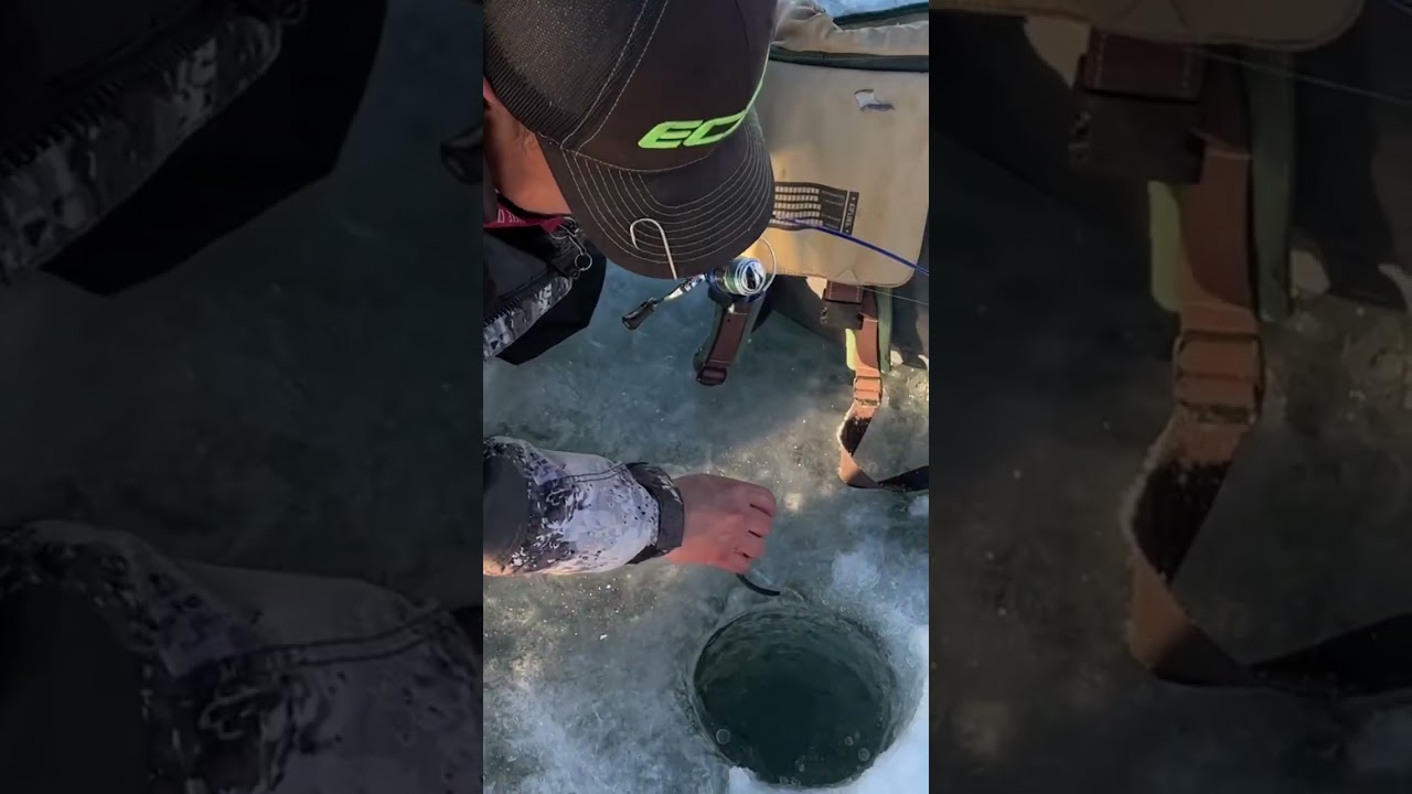 Mastering The Power Of Cheese: Using Cheese PowerBait 4 Ice Fishing: Big Sexy Trout: 