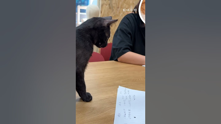 小黑貓好臭啊！！！  #cat #貓咪日常 #貓咪