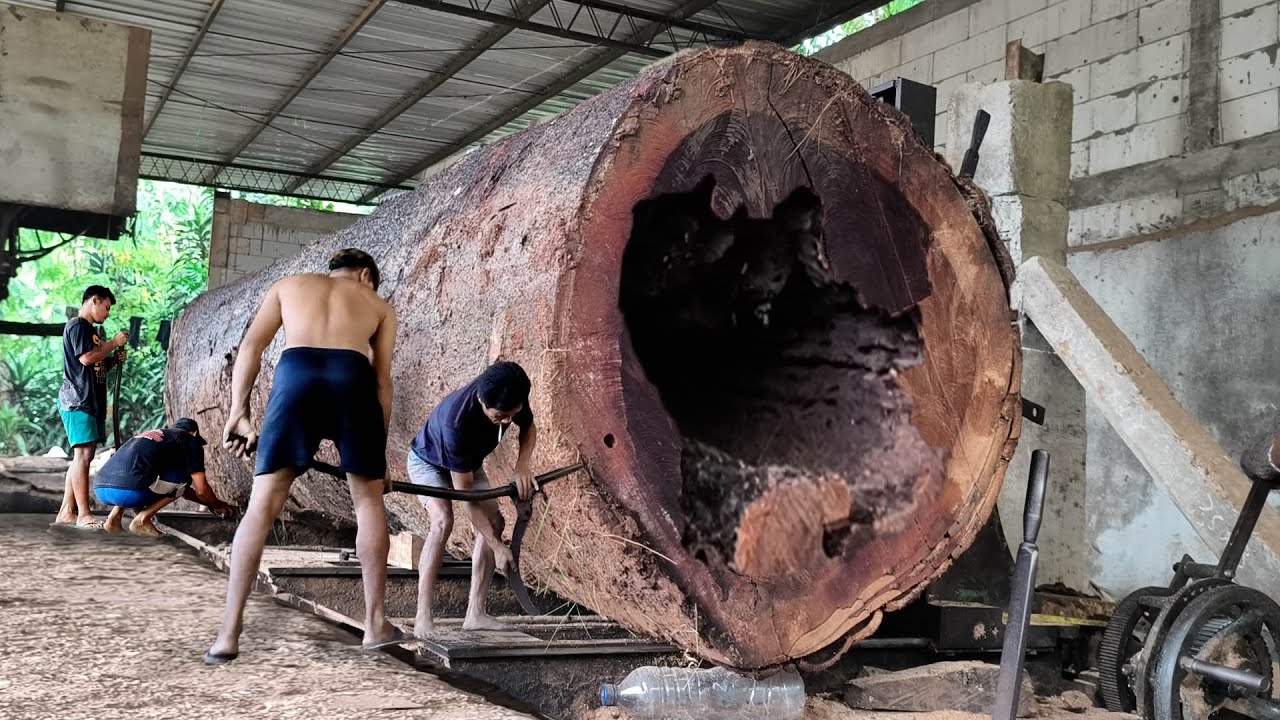 The Dark Secret Inside the Belly of the Trembesi Tree Monster!! at the ...