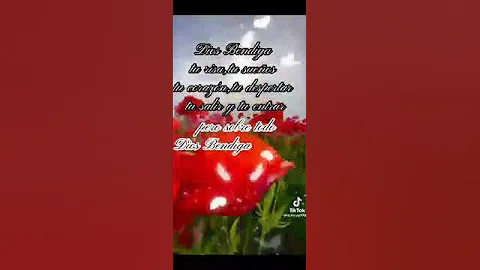 dios vendise  tu amanecer y tu dispertar