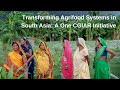 Transforming agrifood systems in south asia a one cgiar initiative