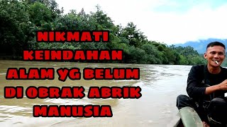 Sangat Perlu Diketahui! Ciri Ciri Murai Batu Aceh atau Lahat