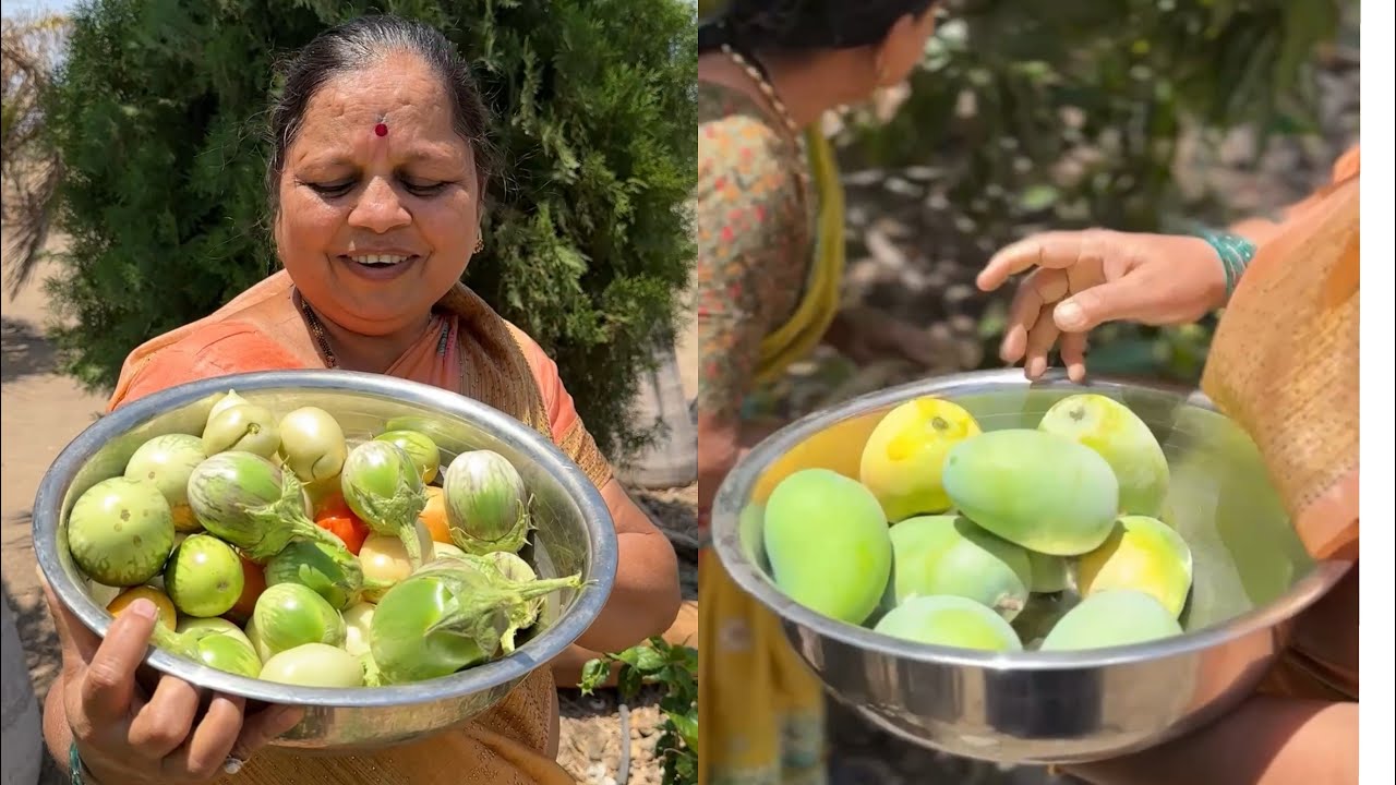 🥭आज रानात काय मिळालं? चला पाहूया! Village vlog