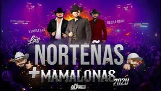 Las Norteñas Más Mamalonas del 2020 (Mix) By Dj Alfred | Con Ese Corazón, Acurrucar, Tu, Basta...
