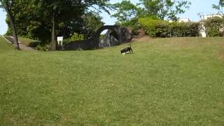 20120527.wmv