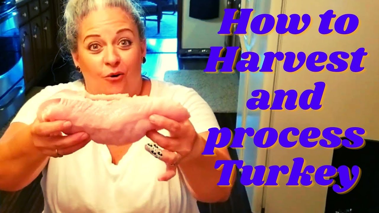 How to Harvest, Breakdown, Process, and Grind Turkey Fall 2020