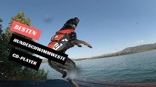 Die Besten Hundeschwimmweste Test - (Top 5)