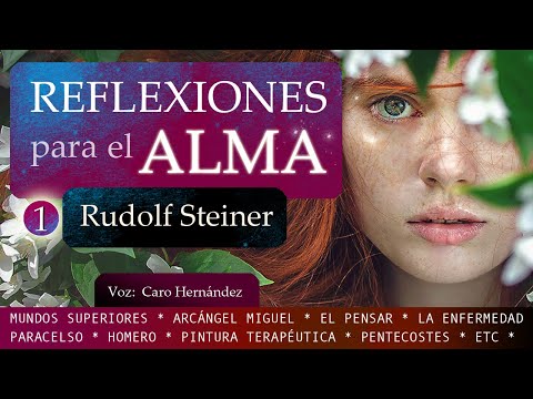 REFLEXIONES PARA EL