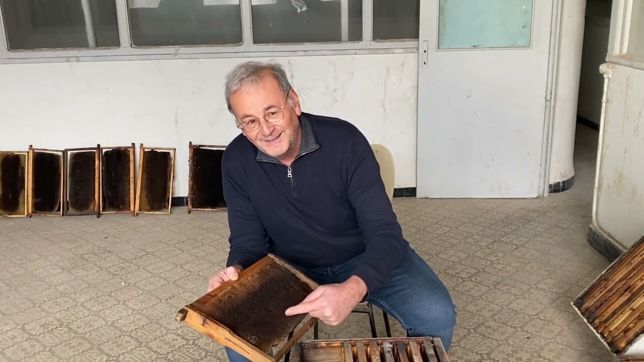 الحلقة الاولى : طريقة تربية الملكات للمبتدئين: