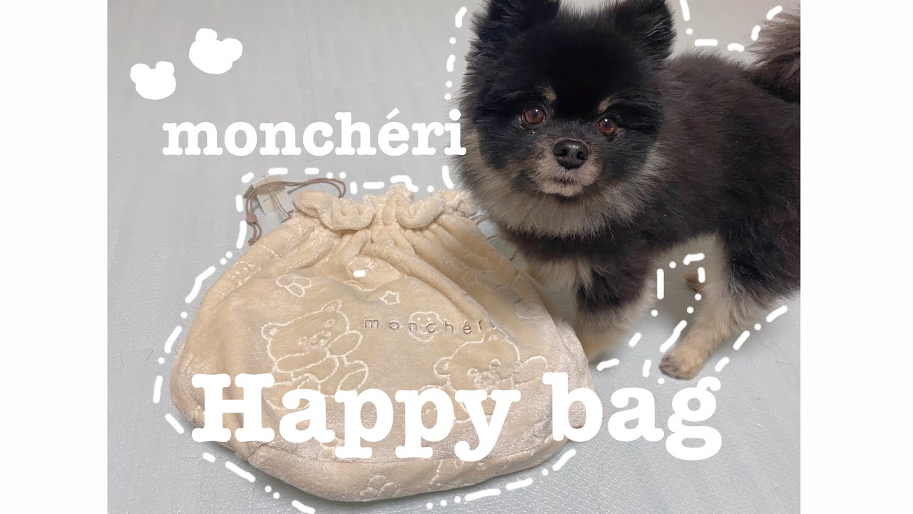 モンシェリ 福袋 Mサイズ 女の子用 monchéri happybag 2024 – moncheri