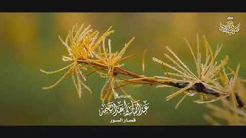 أروع تلاوة لتهدئة الأعصاب والنفوس في العالم 😴 للقارئ عبد الباسط عبد الصمد جودة عالية ᴴᴰ Y