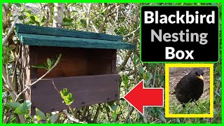 How to Make a Blackbird Nesting Box / Bird House (Open Fronted)